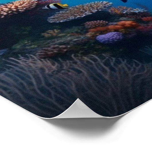 Dive a secret reef ポスター (角)