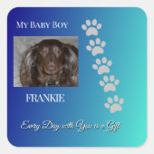 Divine Pawprints Tribute スクエアシール (正面)