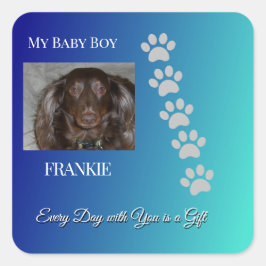 Divine Pawprints Tribute スクエアシール