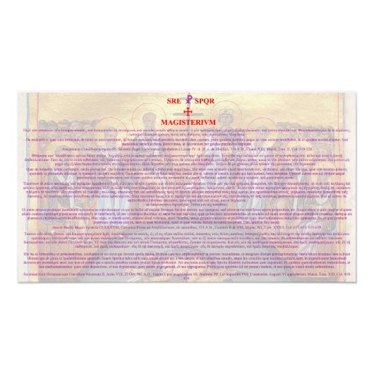 Divini Canones de Abortu secundum Orthodoxiam フォトプリント (正面)