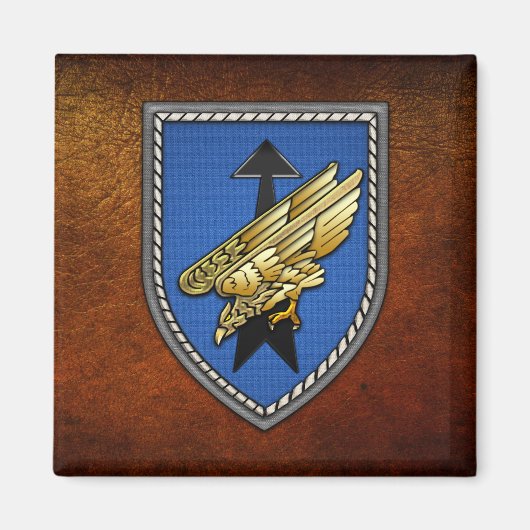 Division Spezielle Operationen [DSO] マグネット (正面)