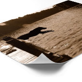 Dixieは波止場から飛び降りる ポスター (角)