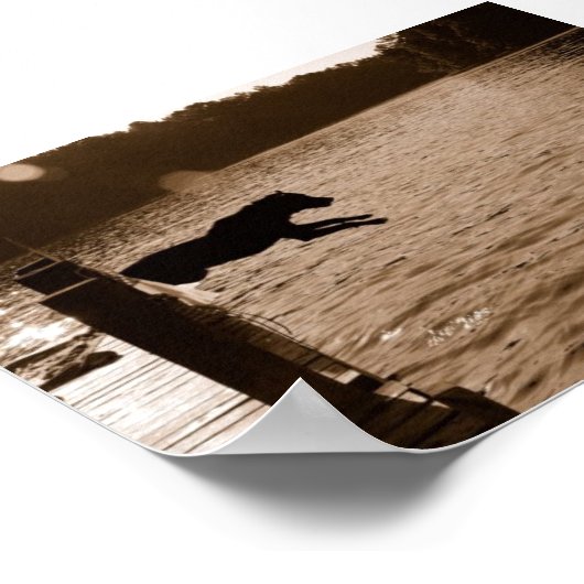 Dixieは波止場から飛び降りる ポスター (角)