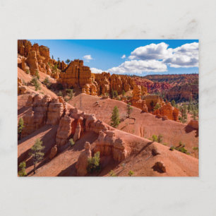 Dixie National Forest Landscapeフォトポストカード ポストカード