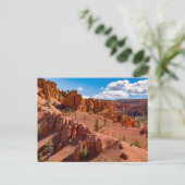 Dixie National Forest Landscapeフォトポストカード ポストカード (スタンド正面)