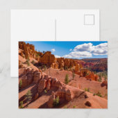 Dixie National Forest Landscapeフォトポストカード ポストカード (正面/裏面)