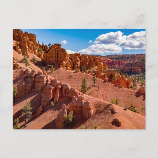 Dixie National Forest Landscapeフォトポストカード ポストカード (正面)