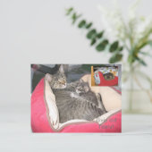 Dixie & Peawnats in Peawnats's bed ポストカード (スタンド正面)