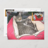 Dixie & Peawnats in Peawnats's bed ポストカード (正面/裏面)