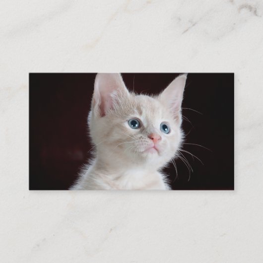 DIYのアップロードあなたの写真のカスタムのブランク 名刺 (正面)