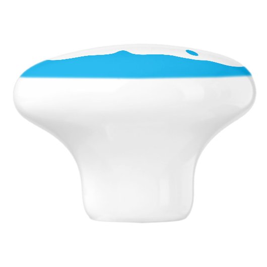 DIYのカスタムな色の青および白い砂ドルA09 セラミックノブ (側面)