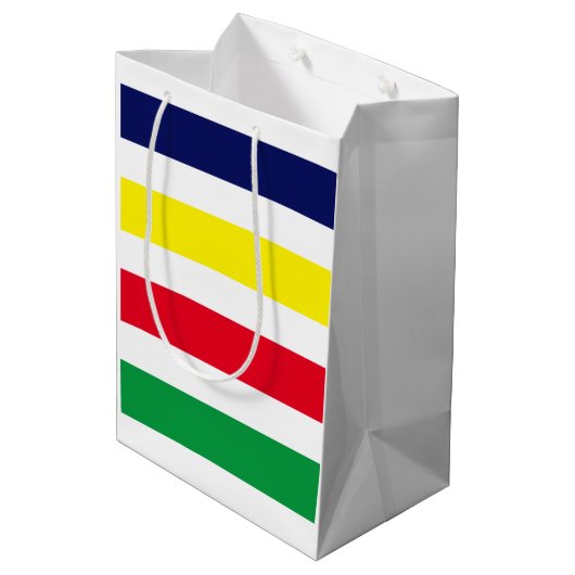 DIYカラー4ストライプ色レッドブルーイエローグリーンホワイト ミディアムペーパーバッグ (裏面アングル)