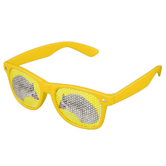 DIYヘッジホグシェード2 レトロサングラス