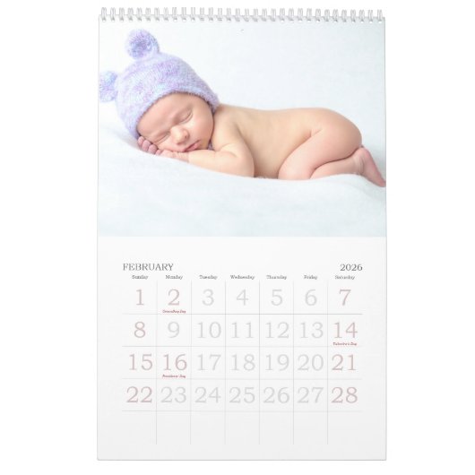 DIYベビーの初生まれたばかりの年度の個人設定 カレンダー (2月 2026)
