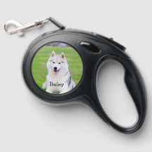 DIYリトラクタブル犬用リード | カスタム写真と文字