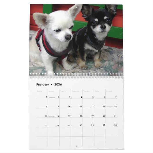 DIY動物救助写真募集慈善会年 カレンダー (2月 2026)