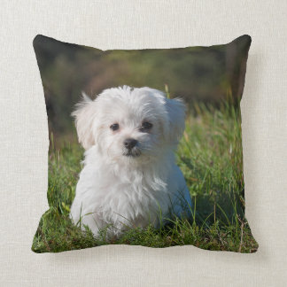 DIY -プリントを枕に-イメージと文字 クッション