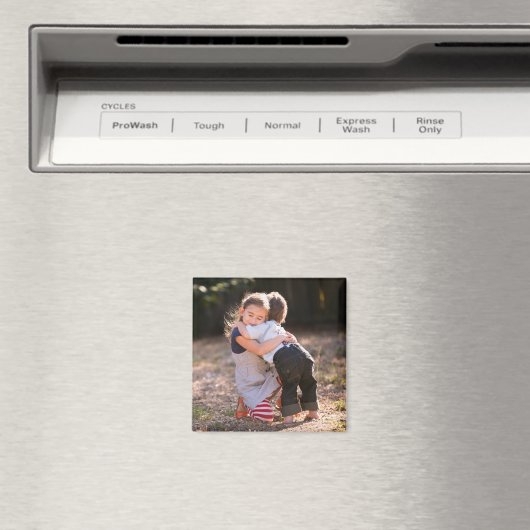 DIY – マグネット上の写真 マグネット (インサイチュ (食洗機))