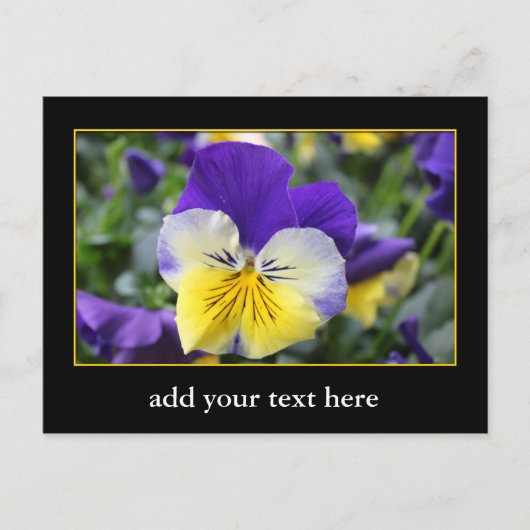 DIY、独自の作成、写真または文字の追加。 ポストカード (正面)