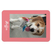DIY Pet's Photo and Name, Coral マグネット (横)