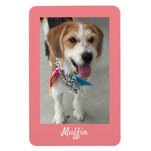 DIY Pet's Photo and Name, Coral マグネット (縦)
