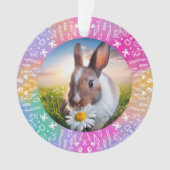 DIY Rabbit Rainbow Christmas Ornament オーナメント (正面)