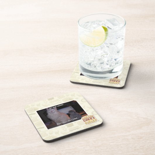 diz maiのsquidz コースター (右側)