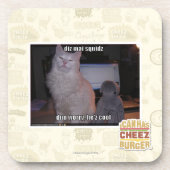 diz maiのsquidz コースター (正面)