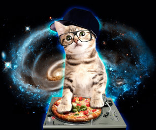 宇宙 猫エレクトロニクス Zazzle Co Jp