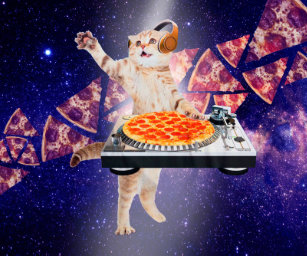 宇宙 猫エレクトロニクス Zazzle Co Jp