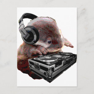 DJなし ポストカード