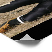 DJ ポスター (角)