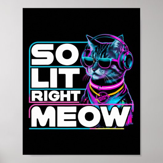 Dj Cat So Lit Right Meow EdmテクノRaveパーティーFes ポスター (正面)