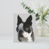 DJ the Boston ポストカード (スタンド正面)