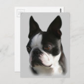 DJ the Boston ポストカード (正面/裏面)