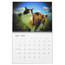 DJ's Articats by djoneill