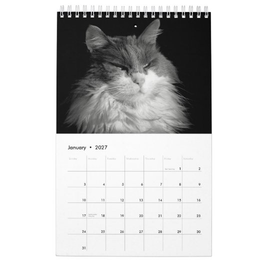 DJ's Cats One Page カレンダー (1月 2027)