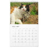 DJ's Cats One Page カレンダー (3月 2027)