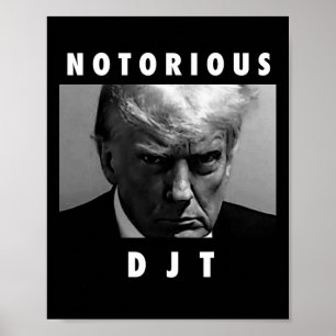 Djtドナルド・トランプ・マグは共和党2024マガを撃った ポスター