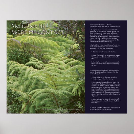 DK瞑想シリーズ：瞑想III ポスター (正面)