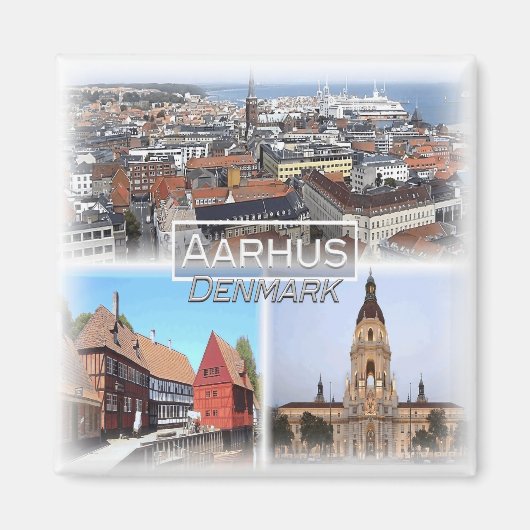 DK0015ヨーロッパ、デンマーク、アーフス、冷蔵庫 マグネット (正面)