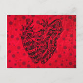 DMT ポストカード (正面)