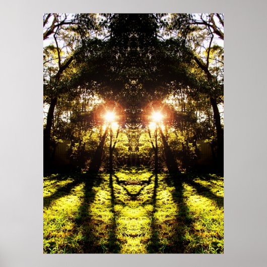 DMT「AURUS Forest」ポスター ポスター (正面)