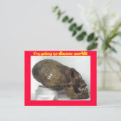 DMV LOCAの実行 ポストカード (スタンド正面)