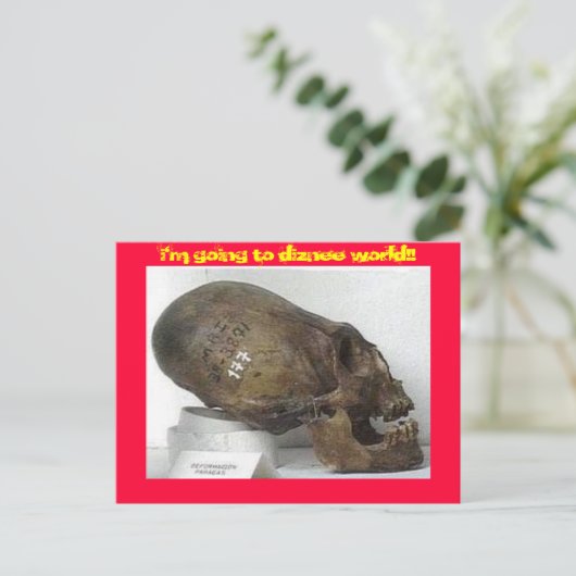 DMV LOCAの実行 ポストカード (スタンド正面)