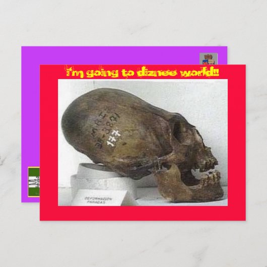 DMV LOCAの実行 ポストカード (正面/裏面)