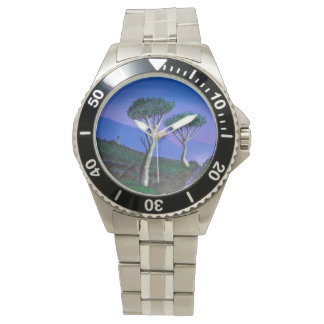 DMZ韓国の近く 腕時計