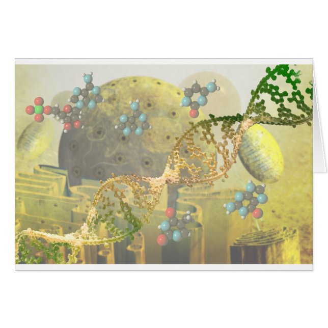 DNAが付いている細胞 (正面横)