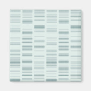 DNAのプロフィール: 生命を作成する遺伝の指示 マグネット
