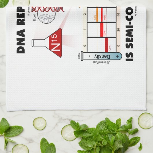 DNAの写しは半保守的です キッチンタオル (折り畳み)